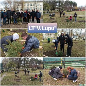 Campania de înverzire și plantare a arborilor in Liceul Teoretic Vasile Lupu
