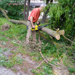 Înlăturarea consecințelor furtunii de pe teritoriile instituțiilor de învățământ din sectorul Centru