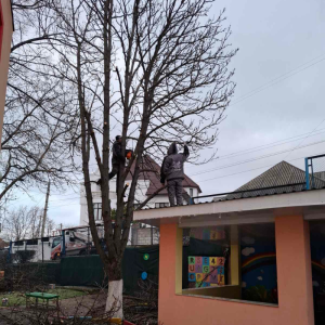 Curățarea copacilor de pe teritoriile grădinițelor și școlilor din sectorul Centru
