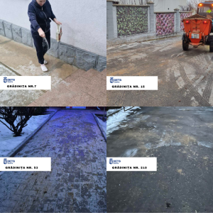 Combaterea poleiului pe teritoriile instituțiilor educaționale din sectorul Centru